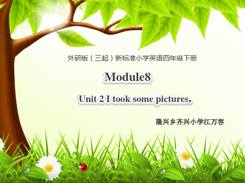 英语外研新标准(三起)四年级下册-Module 8 Unit 2 I took  课件