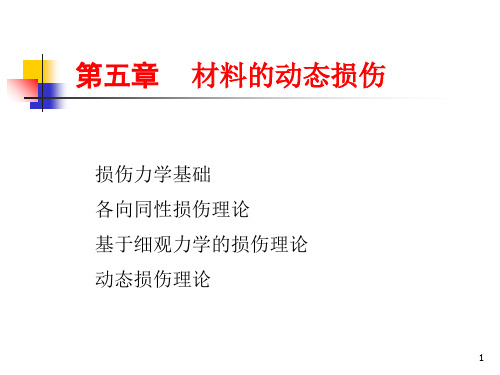 材料的动态损伤共108页
