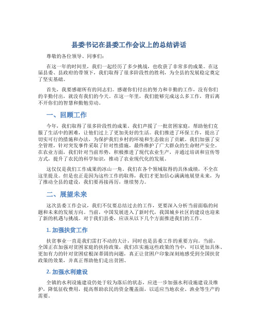 县委书记在县委工作会议上的总结讲话