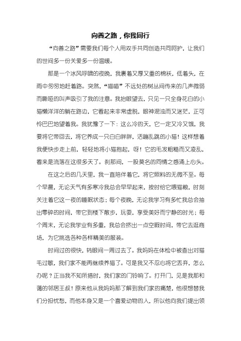 叙事作文：向善之路,你我同行作文800字