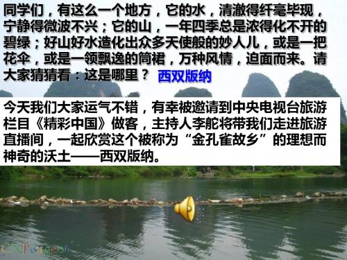 《美丽的西双版纳》