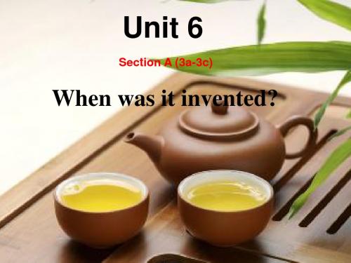 人教版英语九全Unit 6 Section A(3a-3c)讲课课件(共21张PPT)