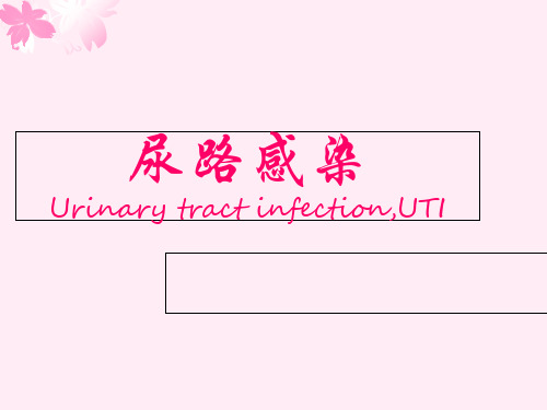 尿路感染中英双语