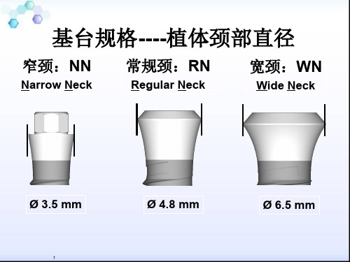 (推荐精选)ITI实心基台修复