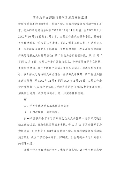 商务局党支部践行科学发展观总结汇报.doc