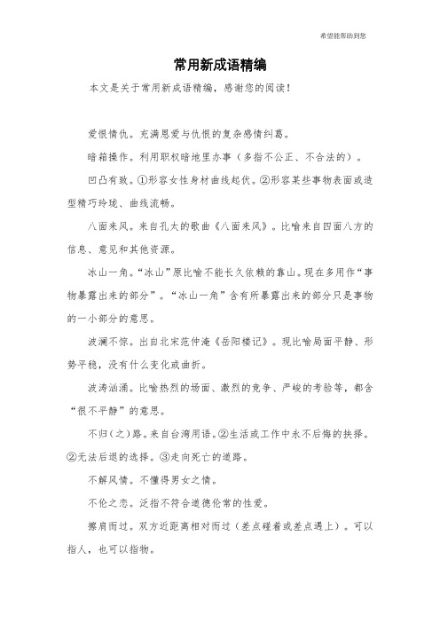 常用新成语精编