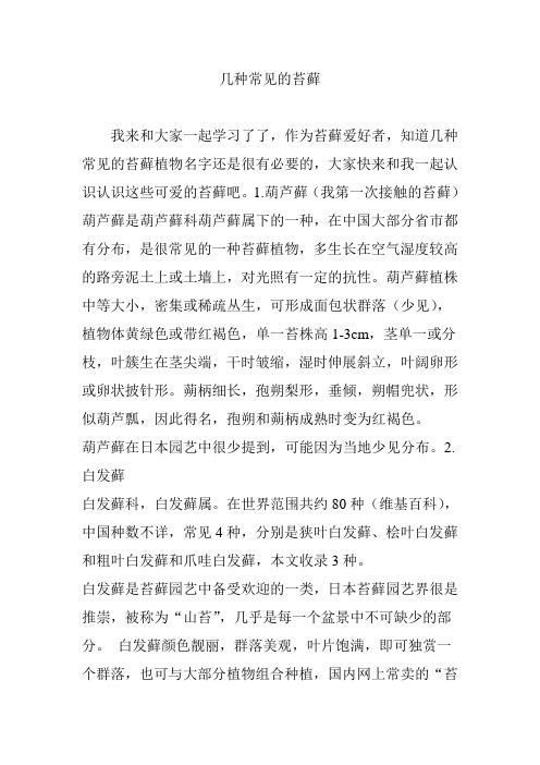 几种常见的苔藓