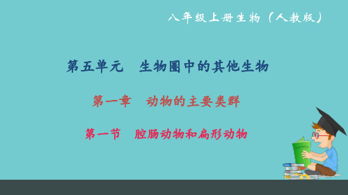 人教版八年级生物上册复习课件全册