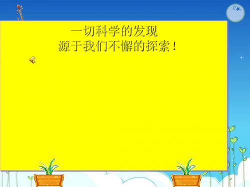 人类染色体与性别决定 PPT课件7 济南版