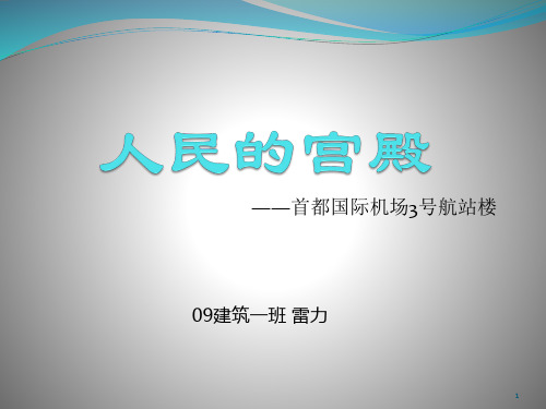 T3航站楼案例分析ppt课件