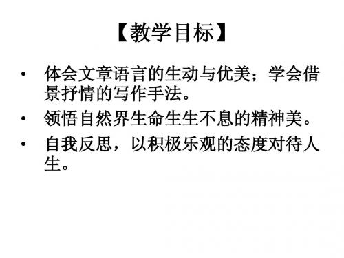 紫藤萝瀑布第二课时