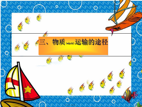 七年级生物下册 3.3 人体内物质的运输—物质运输的途径