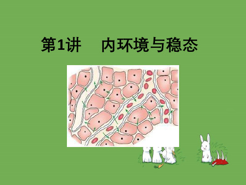 高中生物必修三一轮复习