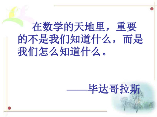 投针试验--北师大版-P
