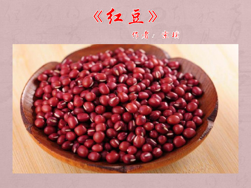 《红豆》现代文学