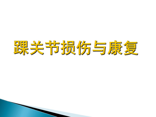 踝关节损伤与康复
