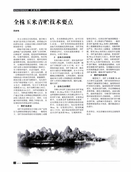 全株玉米青贮技术要点