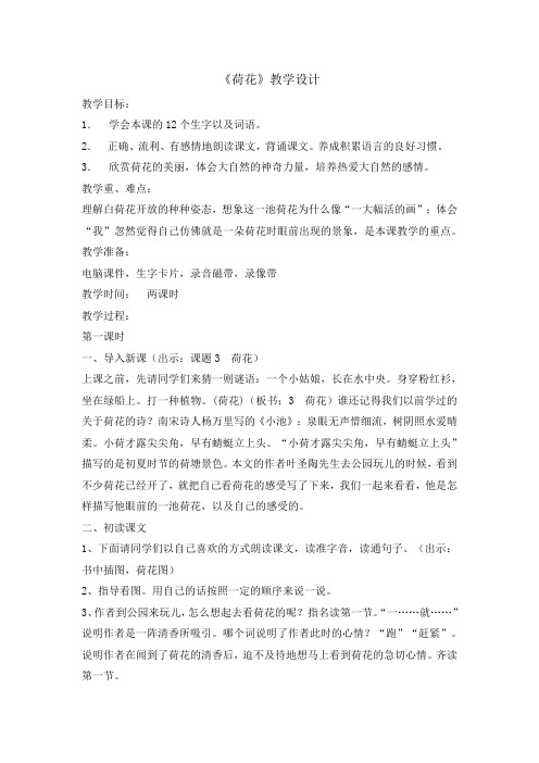 三年级(下)荷花第一课时教案完美版