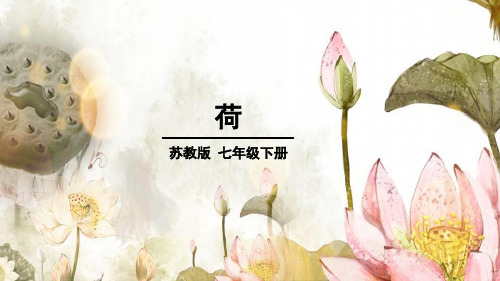 苏教版七年级语文下册《荷》专题