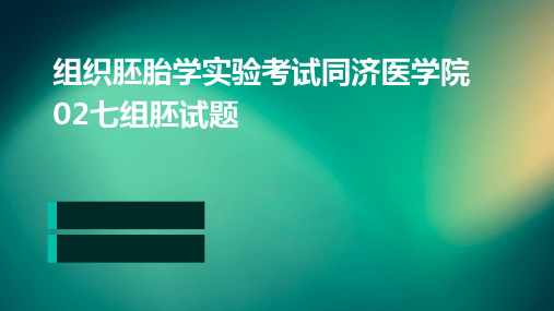 组织胚胎学实验考试同济医学院02七组胚试题