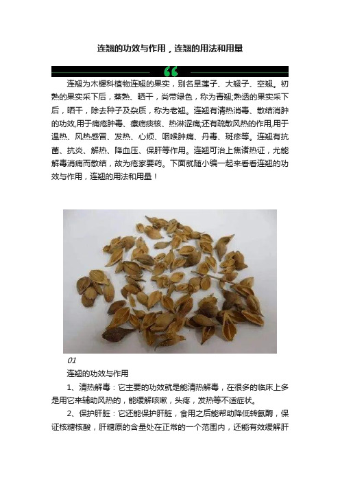 连翘的功效与作用，连翘的用法和用量