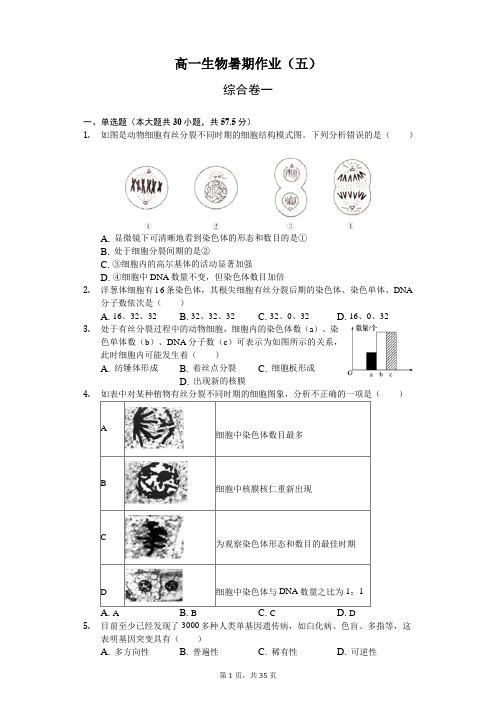 高一生物假期作业(必修二综合)带答案