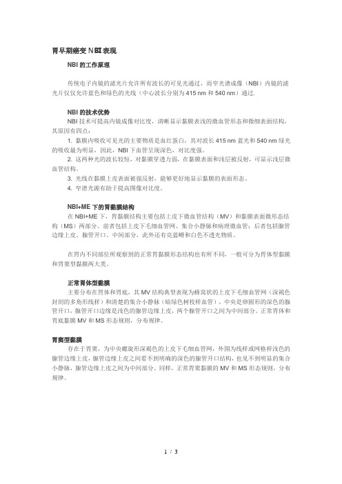 胃早期癌变NBI表现