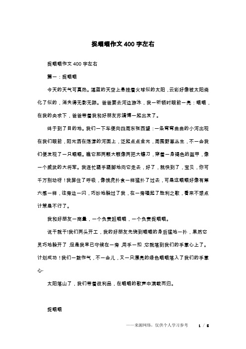 捉蝈蝈作文400字左右