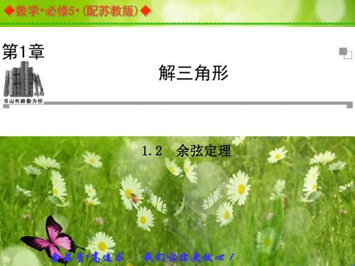 【金版案】高中数必修5(苏教版)：1.2 同步辅导与检测课件