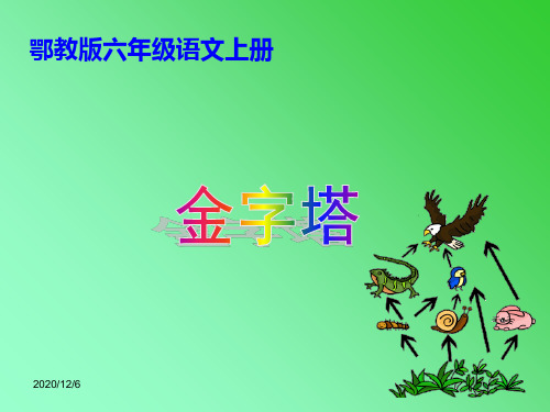 生态金字塔 (鄂教版)精品PPT教学课件