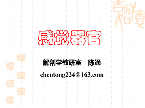 感觉器概述及视器和位听器(陈通2010-5)
