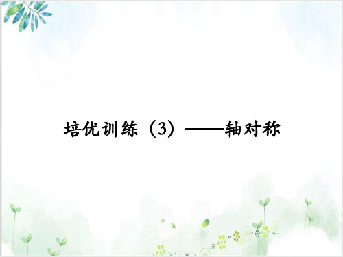 培优训练——轴对称人教版八年级数学(上册)-【完整版】