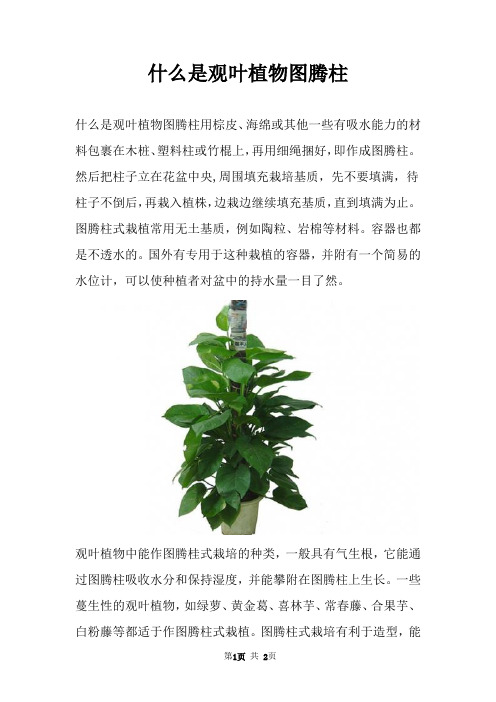 什么是观叶植物图腾柱