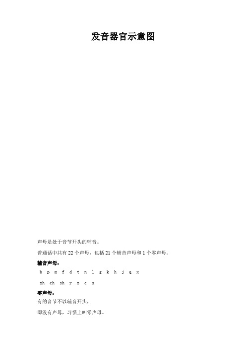 发音器官示意图