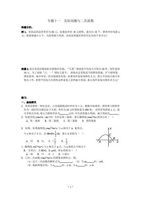 专题十一 实际问题与二次函数