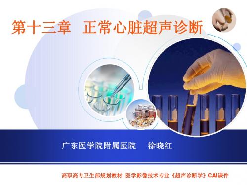 第十三章 正常超声心动图 ppt课件