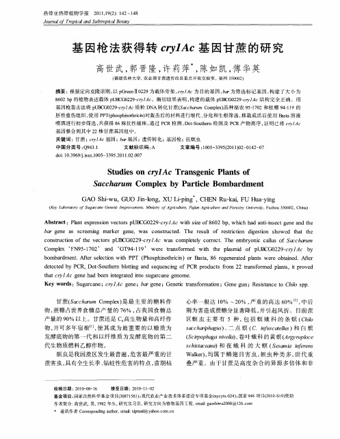 基因枪法获得转crylAc基因甘蔗的研究