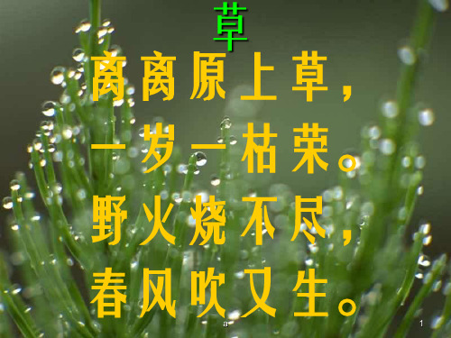人教版二年级语文下册《古诗二首之草》课件PPT