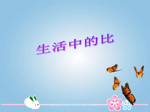 【北师大版】小学数学-生活中的比PPT课件1