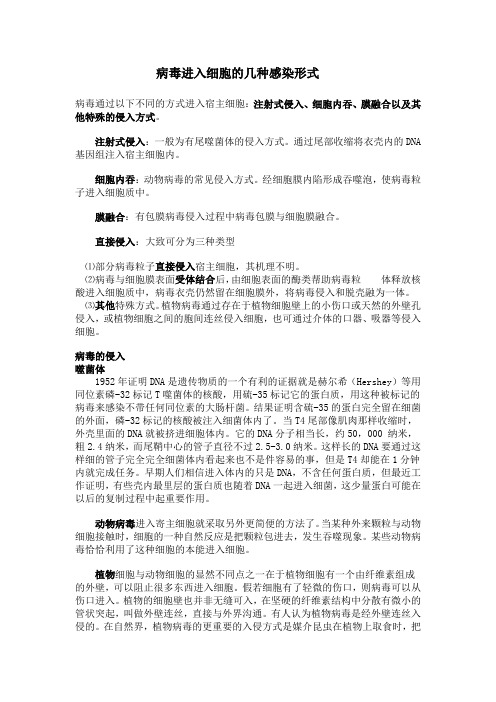 病毒进入细胞的几种感染形式