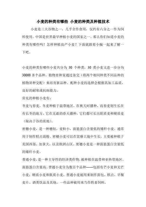 小麦的种类有哪些 小麦的种类及种植技术.doc