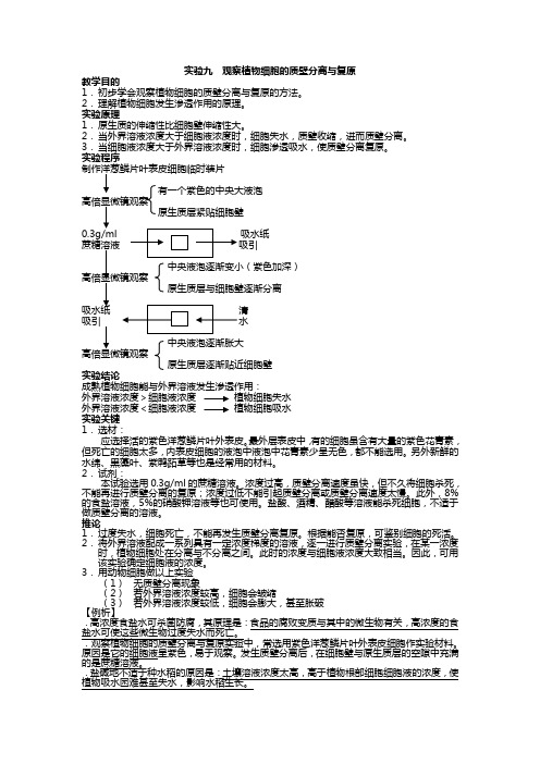 高中生物必修一实验九  观察植物细胞的质壁分离与复原