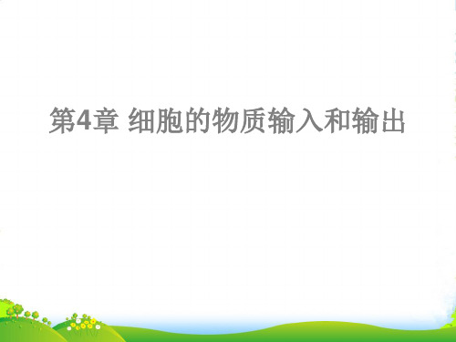 高级中学人教版高中生物必修一课件：4.1物质的跨膜运输实例