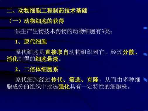 第二章生物制药工艺技术基础