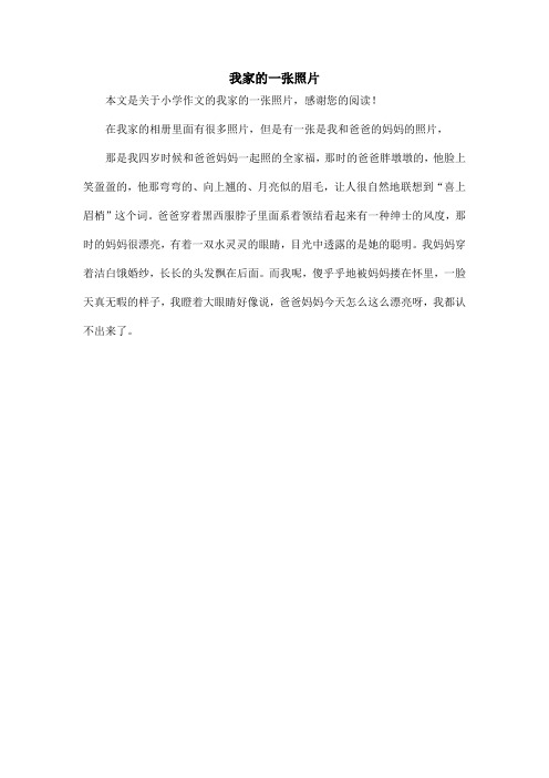 我家的一张照片_小学作文_6