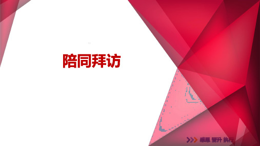 陪访形式模式准备动作注意事项访后动作18页