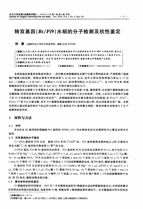 转双基因(Bt／Pi9)水稻的分子检测及抗性鉴定