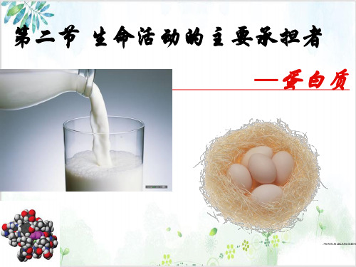 人教版高中生物必修一生命活动的主要承担者-蛋白质课件下载