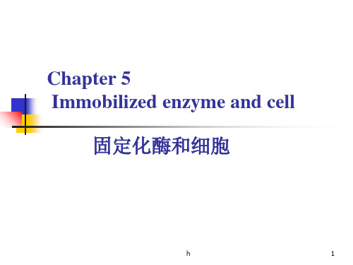 《固定化酶和细胞》PPT课件