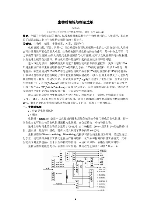 制浆造纸生物质精炼